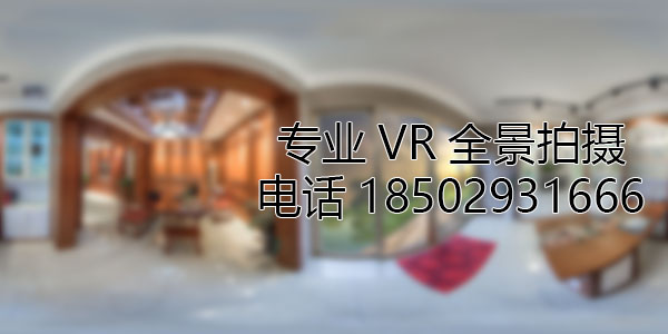 连城VR全景技术在未来可能的发展方向和应用领域?